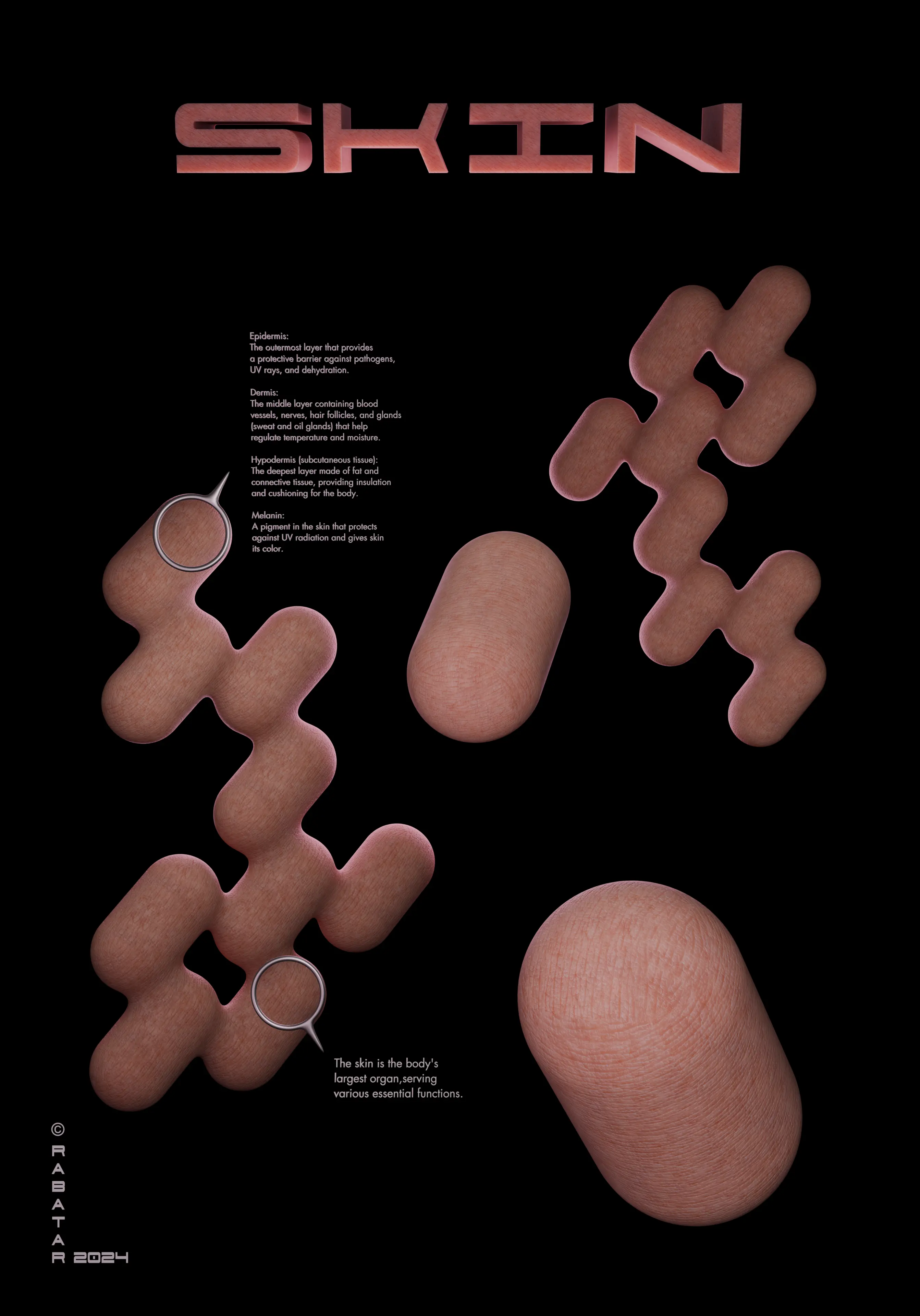 Représentation 3D de la peau humaine en texture et détail